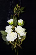 c1ab1a6be82d6aca5c2eefb00868782e
