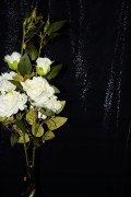 34212767b7aa6f990f91d3de46bb0649