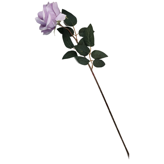 bac7e1d15af371b2a8a83482138137ce