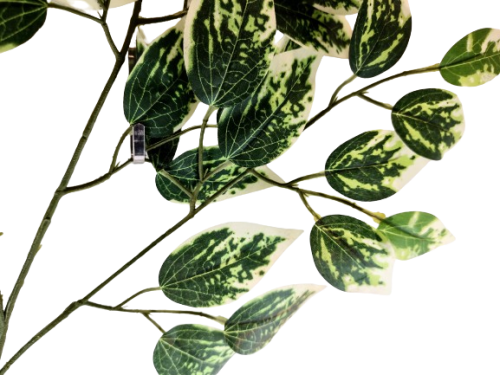 22dc6c2f16098f727be0ba7ffc191ec4