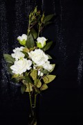 29aa6d7117600c48e83dffe469dba0f9