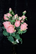 9d5accc960f1997cccc5b6b0a07a0c42