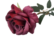7ab5b74fedc2a1b8694a9ec5e0e2aaa0