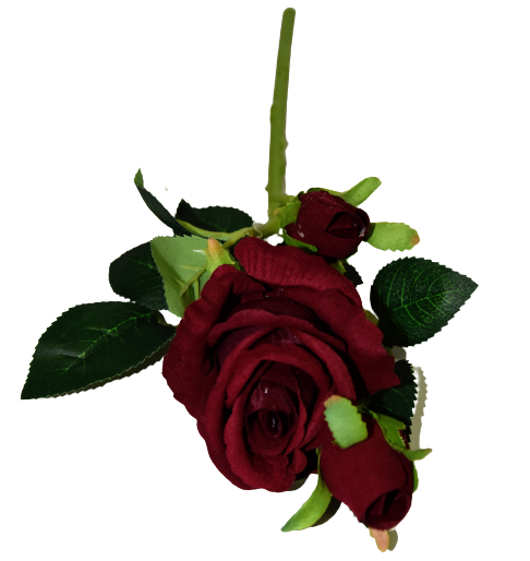 96ed8ec16421ea80f1a880d8a07d27f9