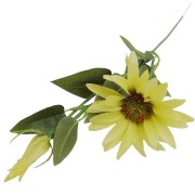1466899fd3dcffd29cc65a397011b9ca.jpg
