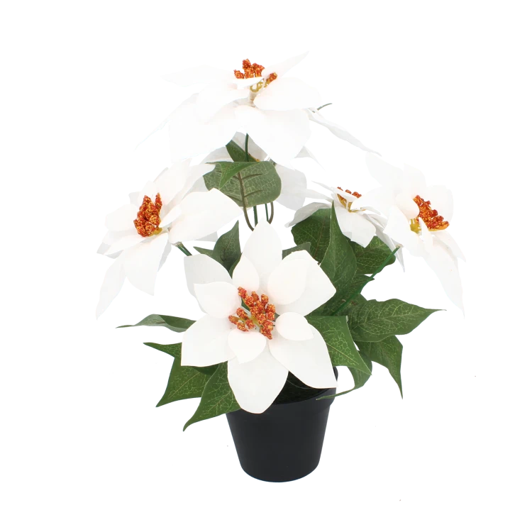 356cc75dd5fa7ab0d3d476149e4dda72.png