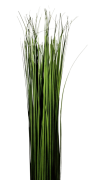 TRAWA W WIĄZCE 83cm