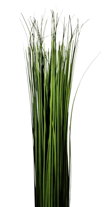 TRAWA W WIĄZCE 83cm