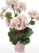 PELARGONIA sztuczne kwiaty BUKIET gałązka 46 cm BIAŁO-RÓŻOWA